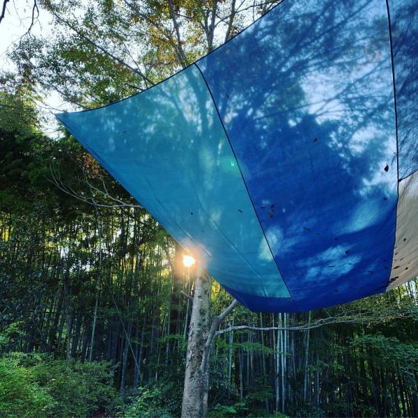 5D5A3DAB-5765-467A-8A9E-9B114A1B62E0